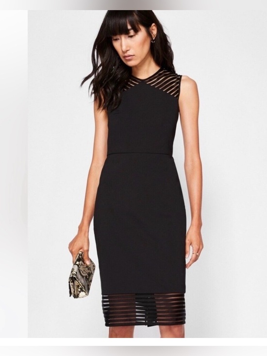 Ted Baker Dresses & Skirts - Ted Baker Black Sleeveless Lucette Dress with Mesh Stripe Insets. $248 retail
